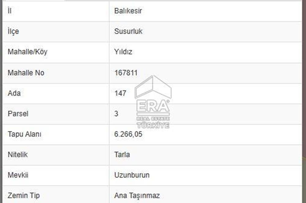 ERA PORT GÜVENCESİYLE SUSURLUK YILDIZ SATILIK 2 CEVİZLİK TARLA