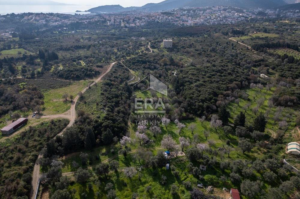 Datça Mahallesinde, İmar Sınırında Emsalsiz Arazi