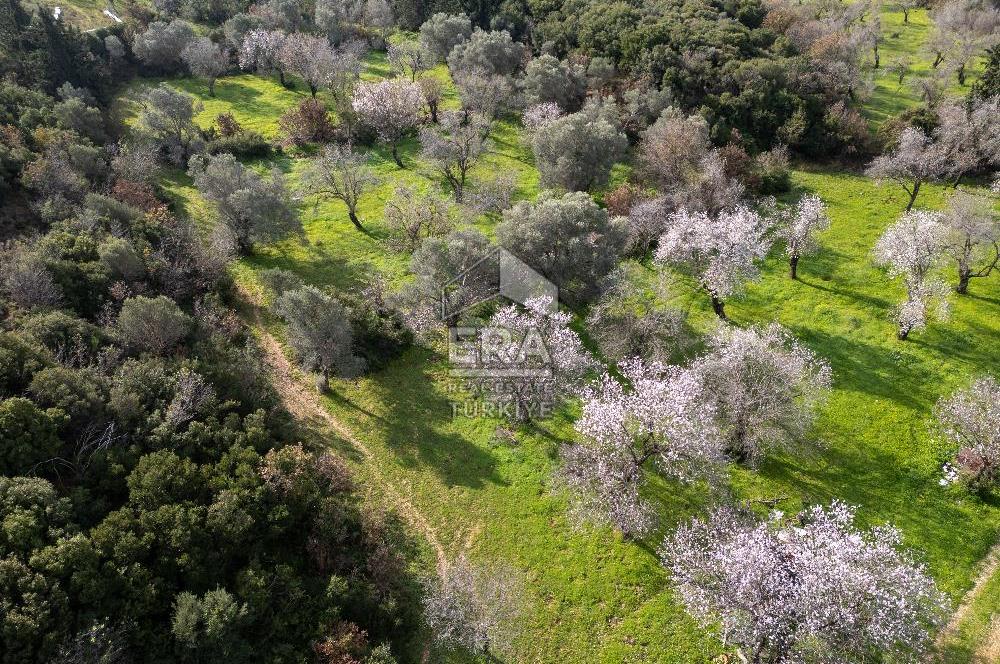 Datça Mahallesinde, İmar Sınırında Emsalsiz Arazi