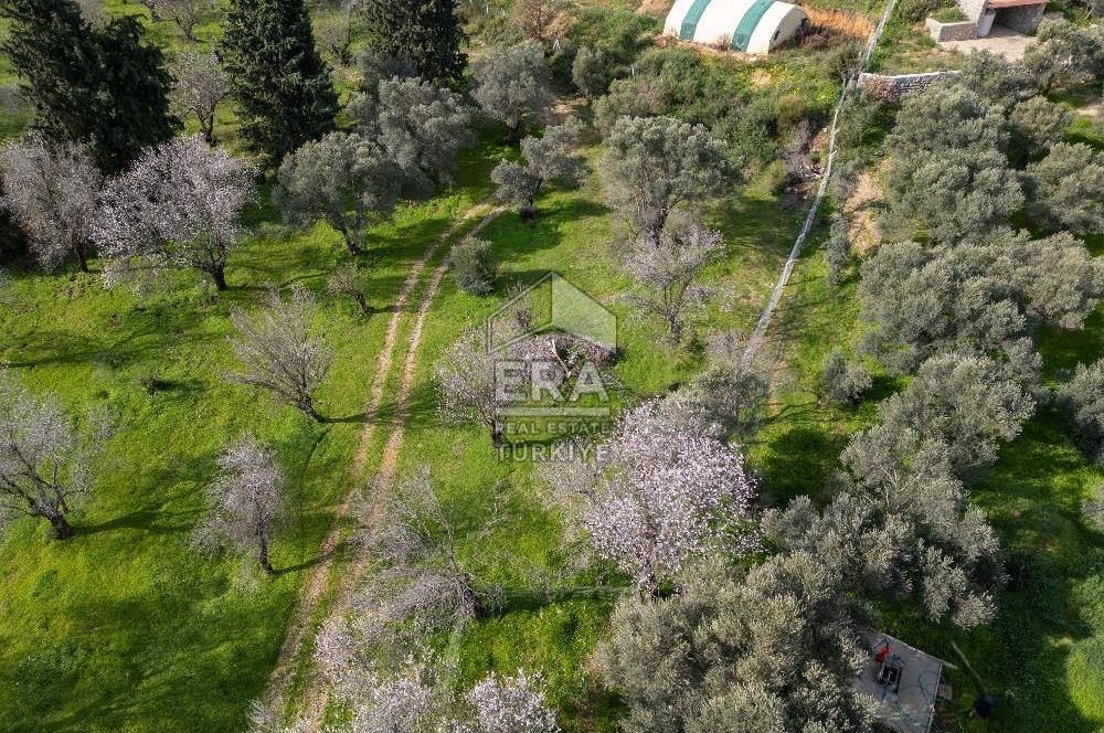 Datça Mahallesinde, İmar Sınırında Emsalsiz Arazi