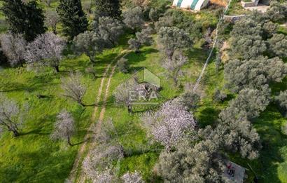 Datça Mahallesinde, İmar Sınırında Emsalsiz Arazi