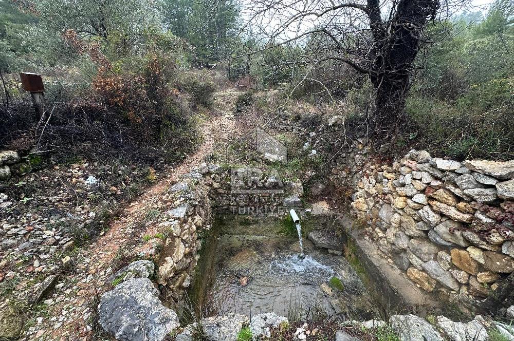 ANTALYA AKSEKİ AŞAĞIAŞIKLAR SATILIK TEK TAPU TARLA