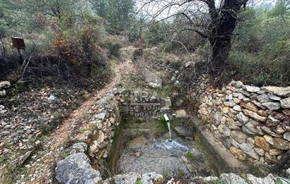 ANTALYA AKSEKİ AŞAĞIAŞIKLAR SATILIK TEK TAPU TARLA