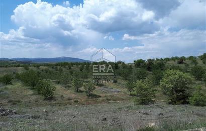 KONYA BOZKIR PRIVATE AFFORESTATION LAND FOR SALE