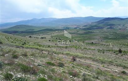 KONYA BOZKIR PRIVATE AFFORESTATION LAND FOR SALE