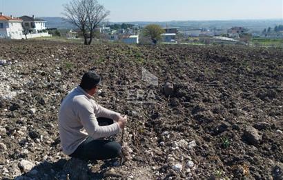 MANİSA MERKEZ GÜLBAHÇE KÖYÜ SATILIK ÖZEL AĞAÇLANDIRMA ARAZİSİ