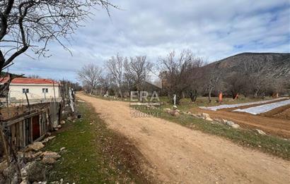 Tavas Pınarlar Mahallesi'nde Satılık Bağ