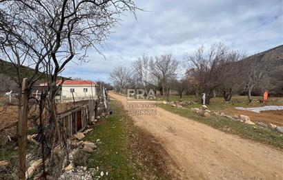 Tavas Pınarlar Mahallesi'nde Satılık Bağ