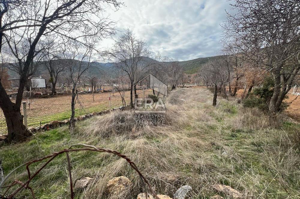 Tavas Pınarlar Mahallesi'nde Satılık Bağ