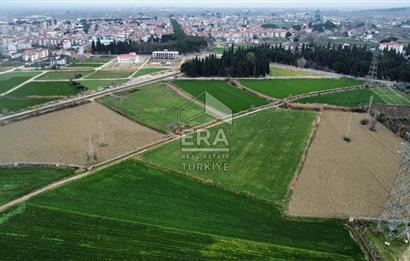 Era fly dan Sarayköy Sakarya da satılık imara yakın tarla