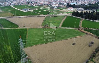 Era fly dan Sarayköy Sakarya da satılık imara yakın tarla