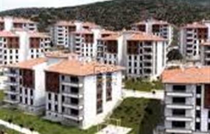 test başlık duplicate