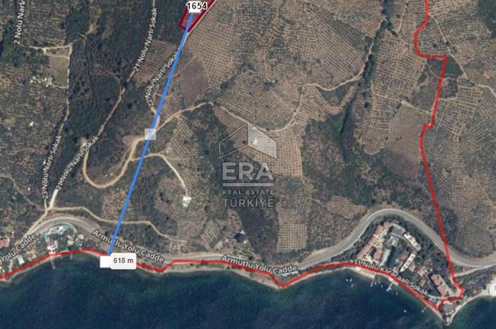 Bursa Gemlik'te Denize Yakın 3.768 m² Satılık Zeytinlik