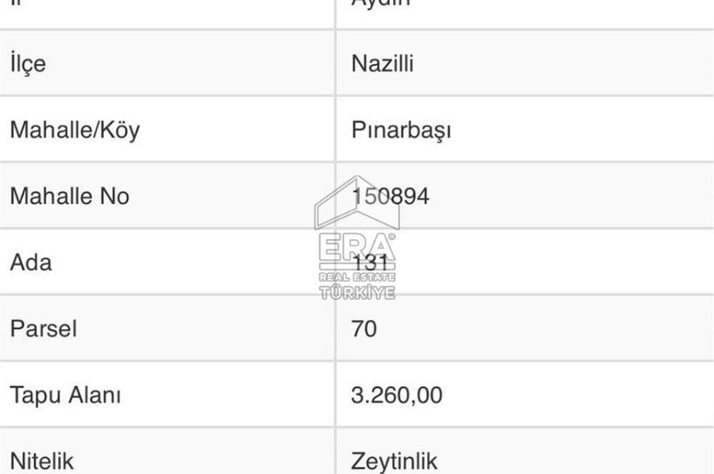 ERA NİVA'DAN AYDIN NAZİLLİ'DE SATILIK 3260 M² ZEYTİNLİK