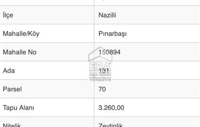 ERA NİVA'DAN AYDIN NAZİLLİ'DE SATILIK 3260 M² ZEYTİNLİK