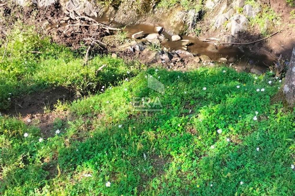 ERA NİVA'DAN BAYINDIR ÇENİKLER'DE SATILIK 1642 M² ZEYTİNLİK