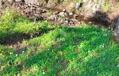 ERA NİVA'DAN BAYINDIR ÇENİKLER'DE SATILIK 1642 M² ZEYTİNLİK