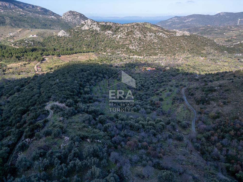 Datça Hızırşahta Muhteşem Manzaralı Satılık Fırsat Arazi