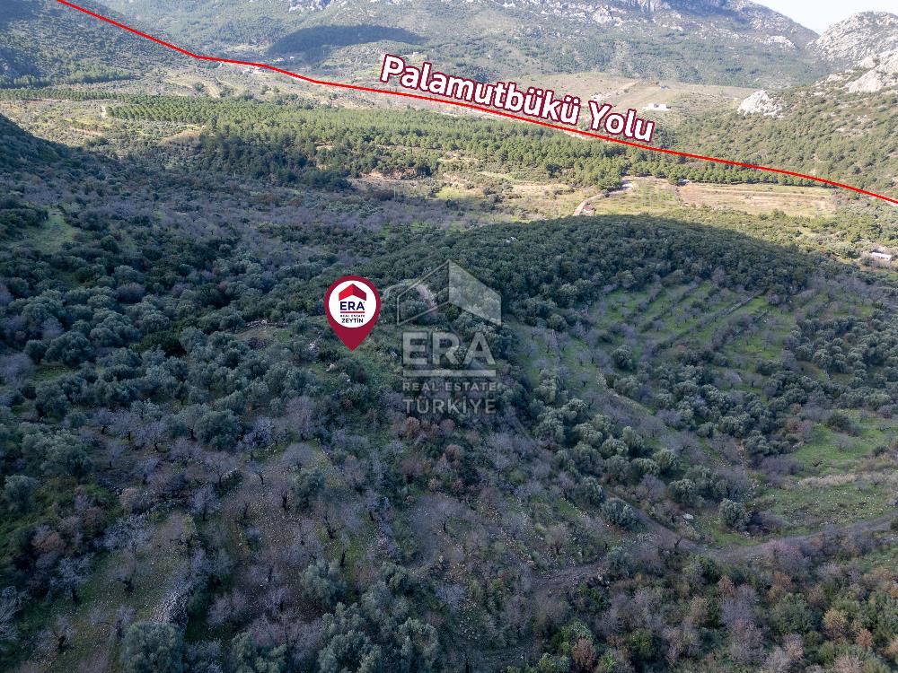 Datça Hızırşahta Muhteşem Manzaralı Satılık Fırsat Arazi