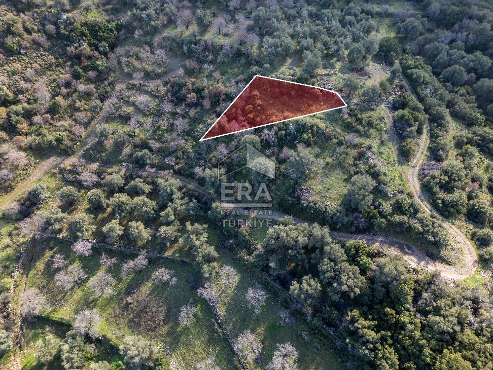 Datça Hızırşahta Muhteşem Manzaralı Satılık Fırsat Arazi