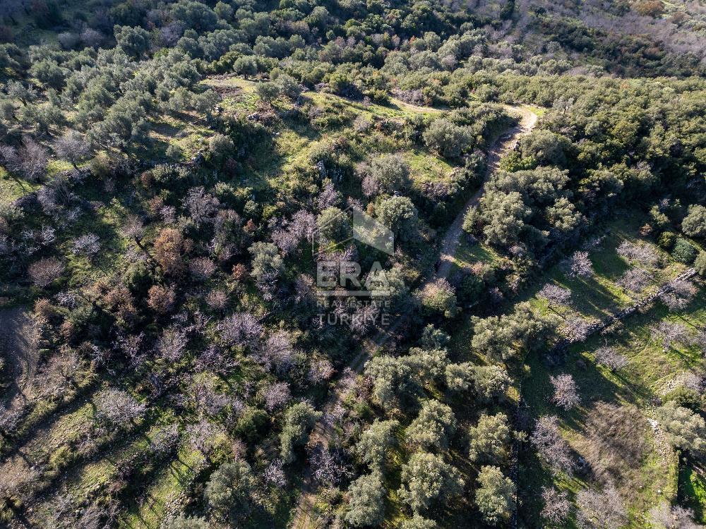 Datça Hızırşahta Muhteşem Manzaralı Satılık Fırsat Arazi