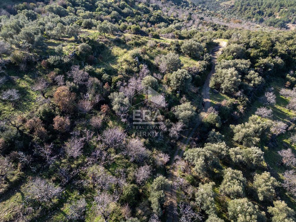 Datça Hızırşahta Muhteşem Manzaralı Satılık Fırsat Arazi