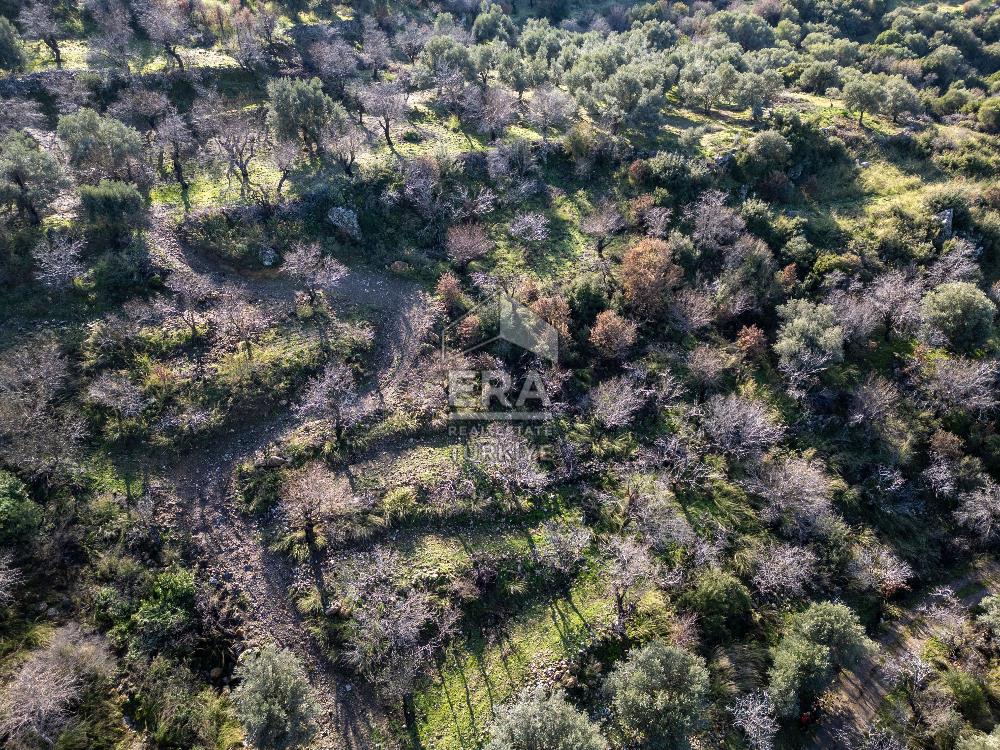 Datça Hızırşahta Muhteşem Manzaralı Satılık Fırsat Arazi