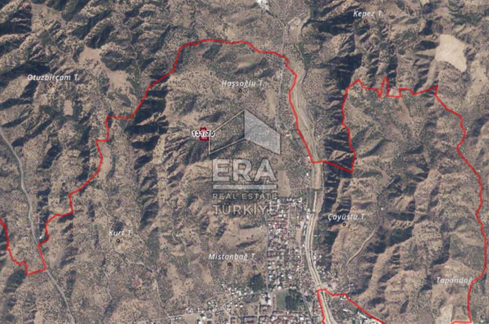 ERA NİVA'DAN AYDIN NAZİLLİ'DE SATILIK 3260 M² ZEYTİNLİK