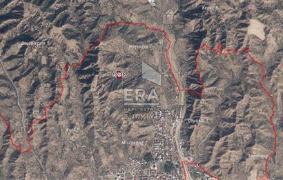 ERA NİVA'DAN AYDIN NAZİLLİ'DE SATILIK 3260 M² ZEYTİNLİK