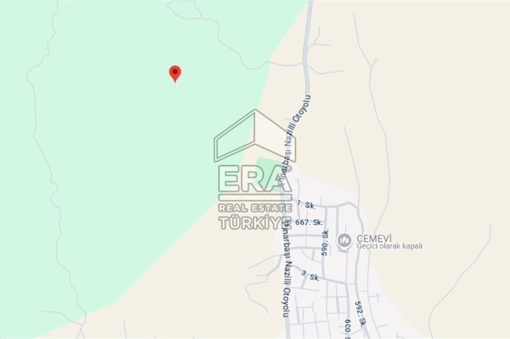 ERA NİVA'DAN AYDIN NAZİLLİ'DE SATILIK 3260 M² ZEYTİNLİK