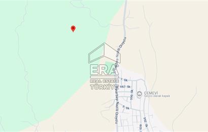 ERA NİVA'DAN AYDIN NAZİLLİ'DE SATILIK 3260 M² ZEYTİNLİK