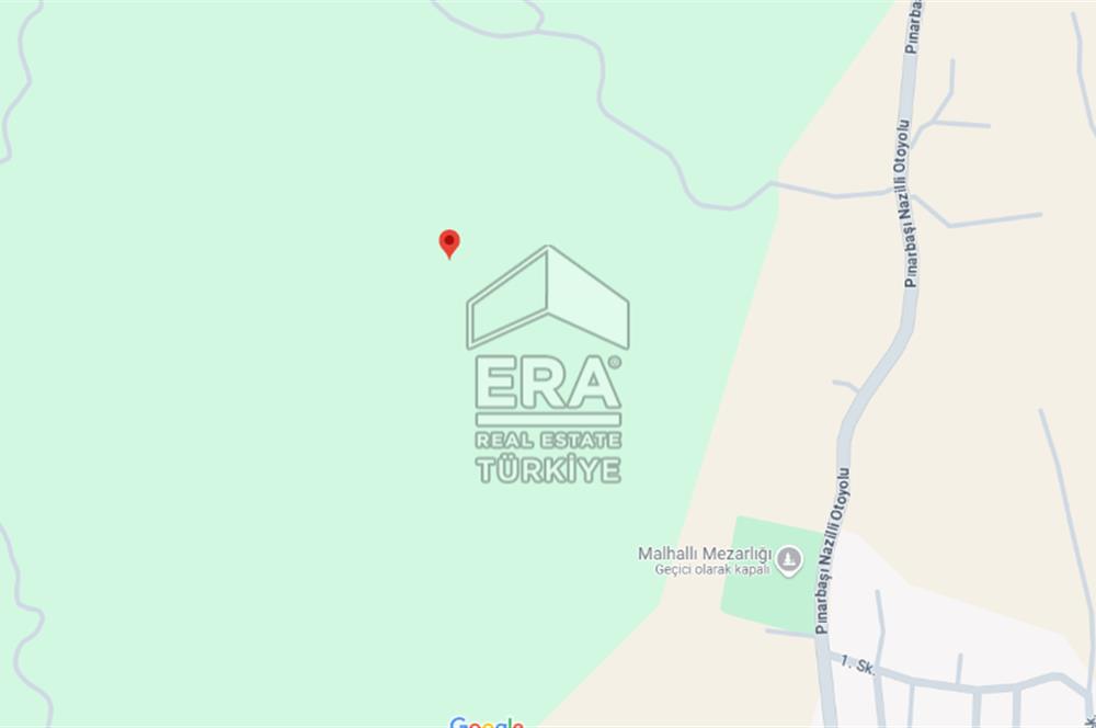 ERA NİVA'DAN AYDIN NAZİLLİ'DE SATILIK 3260 M² ZEYTİNLİK