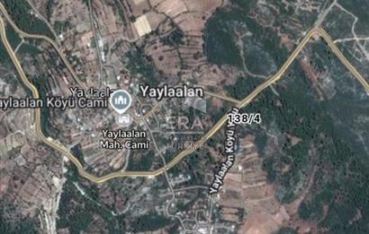 YAYLAALAN'DA SATILIK 288 M2 TARLA