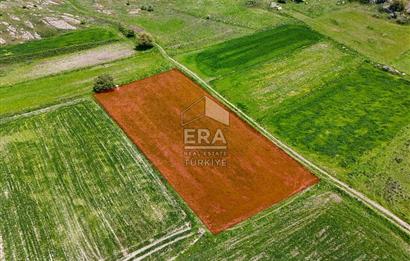 ERA SÖZ DEN BALIKESİR KARESİ KARAKOL SATILIK 2595 M2 TARLA