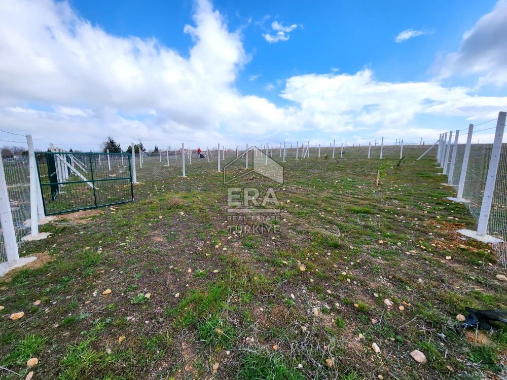 Kırklareli Bayramdere Köyü Konut İmarlı 500m2 Arsa 