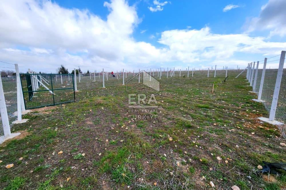 Kırklareli Bayramdere Köyü Konut İmarlı 500m2 Arsa 