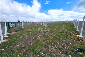 Kırklareli Bayramdere Köyü Konut İmarlı 500m2 Arsa 
