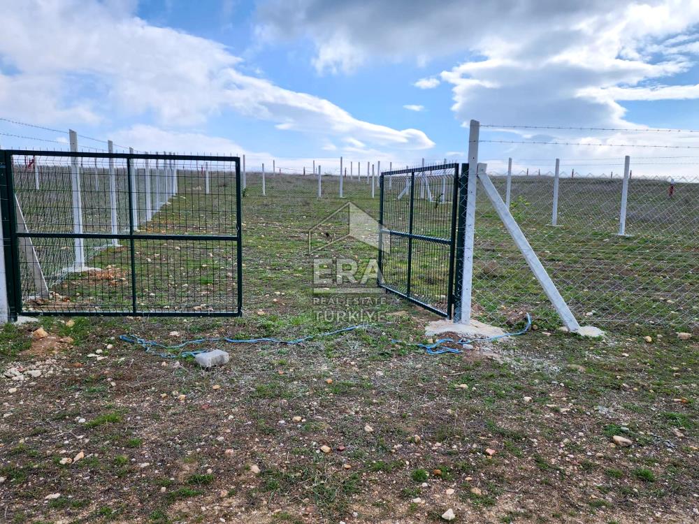 Kırklareli Bayramdere Köyü Konut İmarlı 500m2 Arsa 