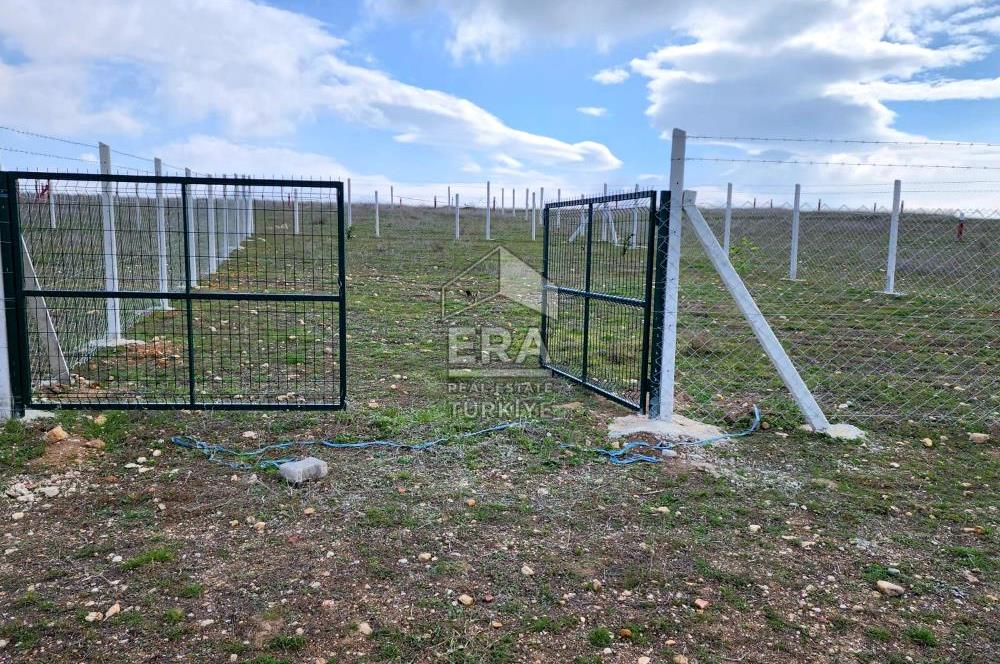 Kırklareli Bayramdere Köyü Konut İmarlı 500m2 Arsa 