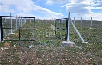Kırklareli Bayramdere Köyü Konut İmarlı 500m2 Arsa 