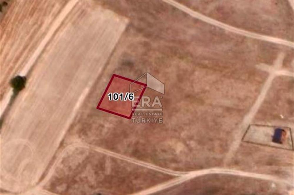 Kırklareli Bayramdere Köyü Konut İmarlı 500m2 Arsa 