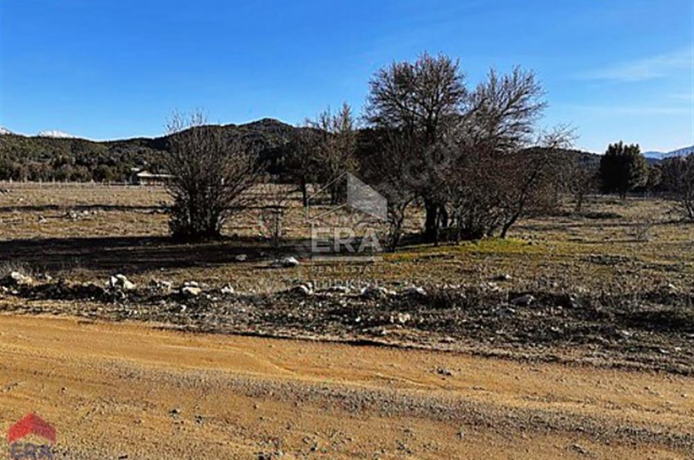 AKSEKİ EMİRAŞIKLARDA KADASTROL YOL CEPHELİ 2.234m2 SATILIK TARLA