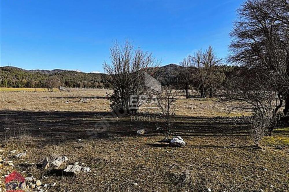 AKSEKİ EMİRAŞIKLARDA KADASTROL YOL CEPHELİ 2.234m2 SATILIK TARLA