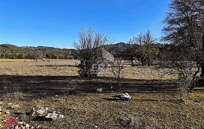 AKSEKİ EMİRAŞIKLARDA KADASTROL YOL CEPHELİ 2.234m2 SATILIK TARLA