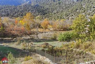 ANTALYA AKSEKİ CENDEVE MAHALLESİNDE SATILIK 621 m2 TARLA