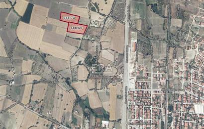ERA PORT GÜVENCESİYLE SAVAŞTEPE DE YATIRIMLIK FIRSAT TARLA