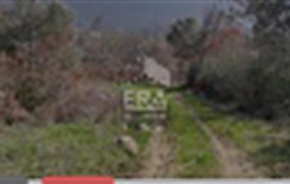  ERA SVG İBRAHİM ŞİRİNDEN 262 M2 YERİMİZ 