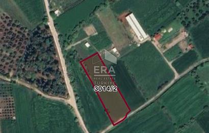 Aliağa Helvacılar Köyünde 5.154,34 m2 Satılık Tarla 
