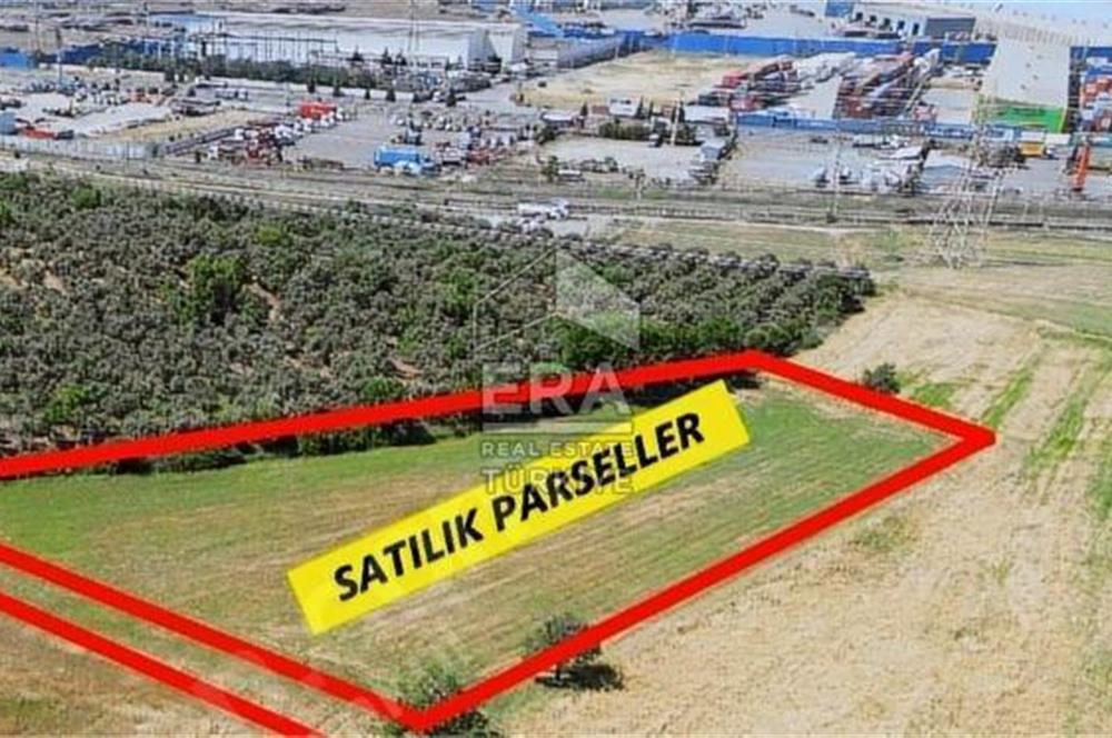 Aliağa Şehit Kemal Mahallesinde Satılık Tarla