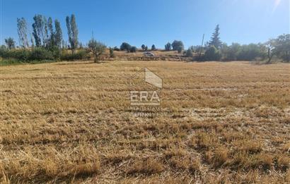 DERBENT ÇİFTLİKÖZÜ SATILIK 464 M2 TARLA